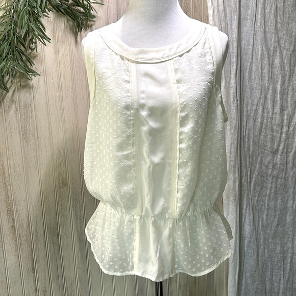 Daniel Rainn Silk Lined Peplum Blouse, Medium, NWOT, Cream Ecru Sheer Elegant - Picture 1 of 14